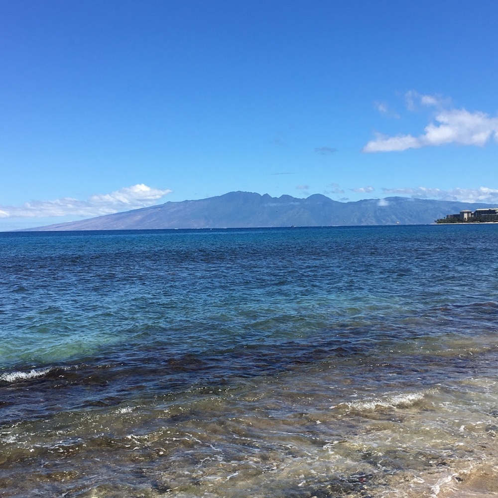 Meet your Posher, Ai